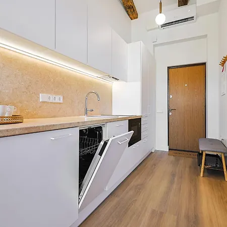Cohost I Brand New Apt, W-ac In A Location *