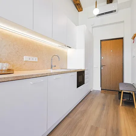 Cohost I Brand New Apt, W-ac In A Location 公寓 维尔纽斯