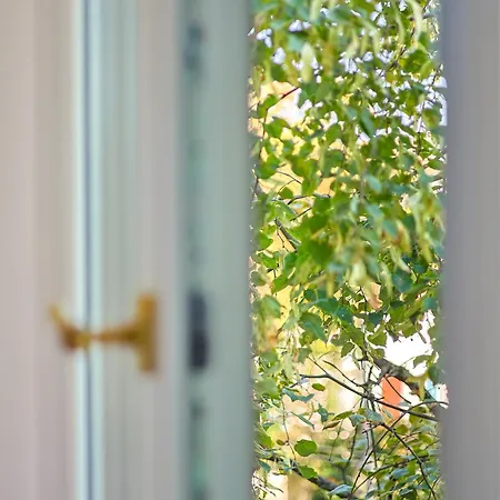 Cohost I Brand New Apt, W-ac In A Location 公寓 *