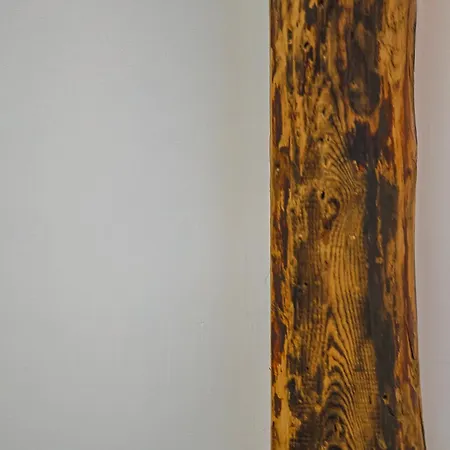 Cohost I Brand New Apt, W-ac In A Location *