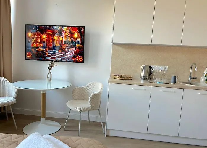 Butas Cohost I Brand New Apt, W-ac In A Location