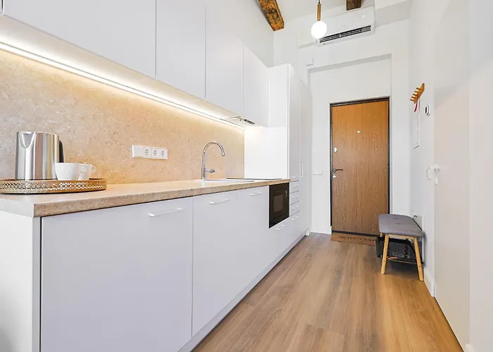 Cohost I Brand New Apt, W-ac In A Location Butas Vilnius