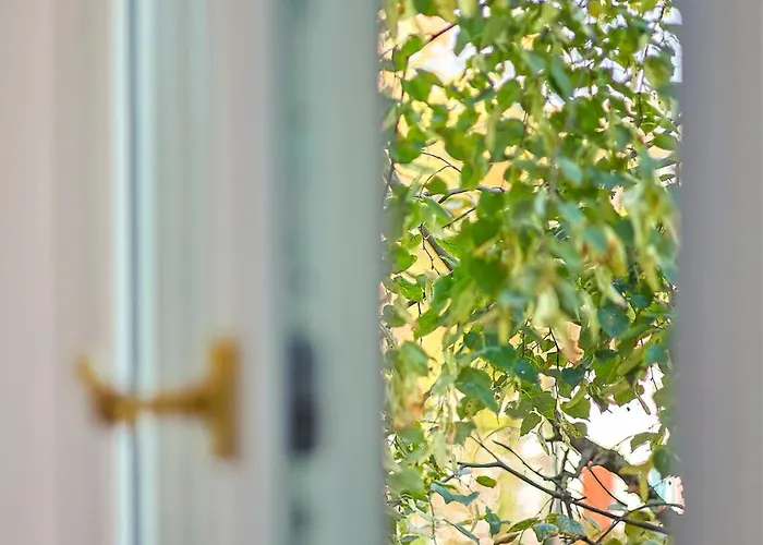 Cohost I Brand New Apt, W-ac In A Location Apartamento *