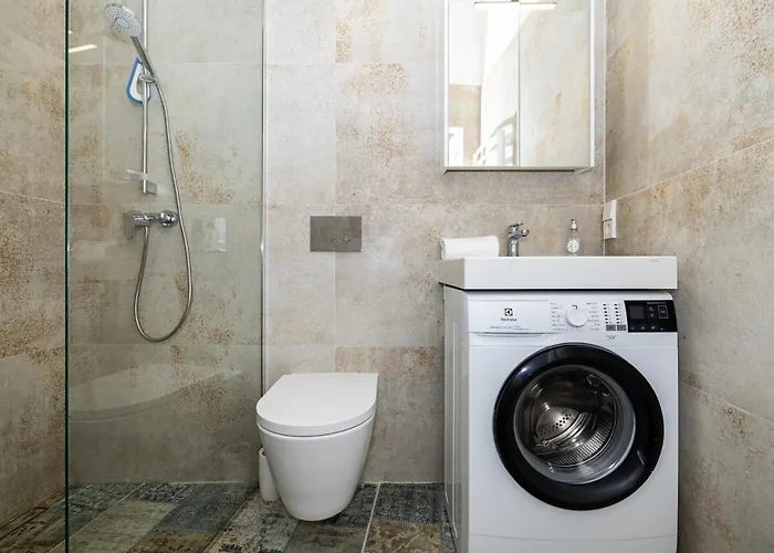 Butas Cohost I Brand New Apt, W-ac In A Location *