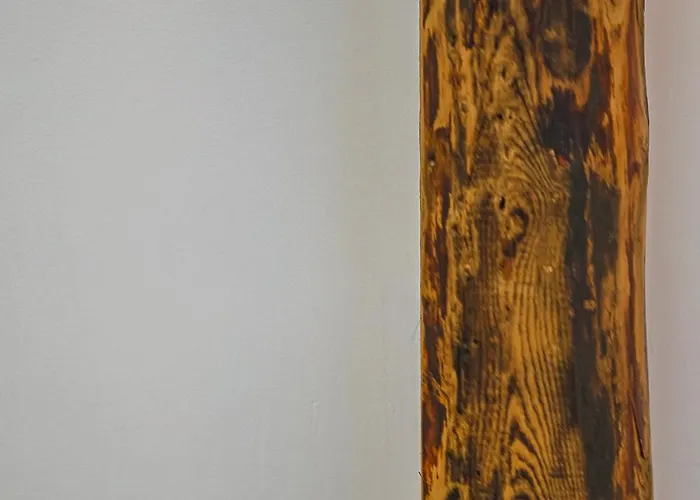 Cohost I Brand New Apt, W-ac In A Location *