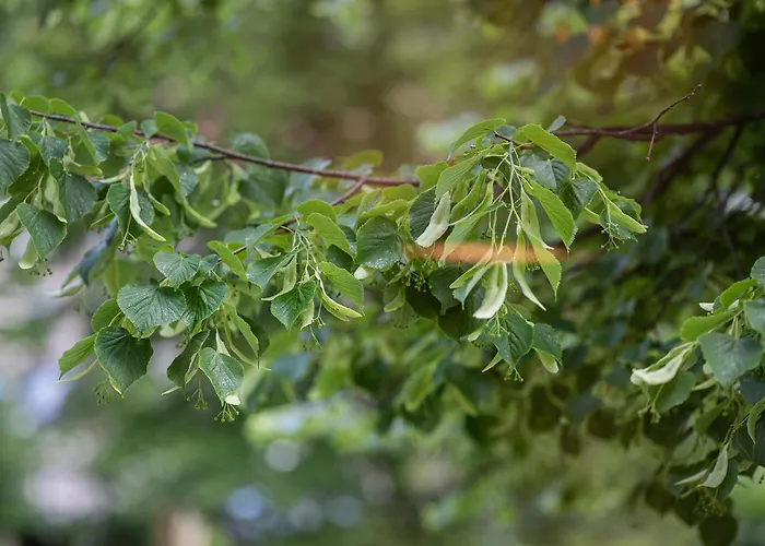 Cohost I Brand New Apt, W-ac In A Location Apartamento