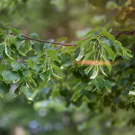 Cohost I Brand New Apt, W-ac In A Location Apartmán